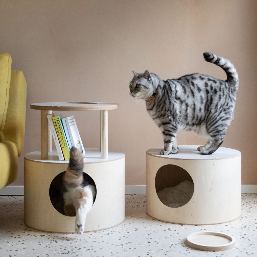 Welcome to Round Haus | Multifunctional furniture for you & your cat