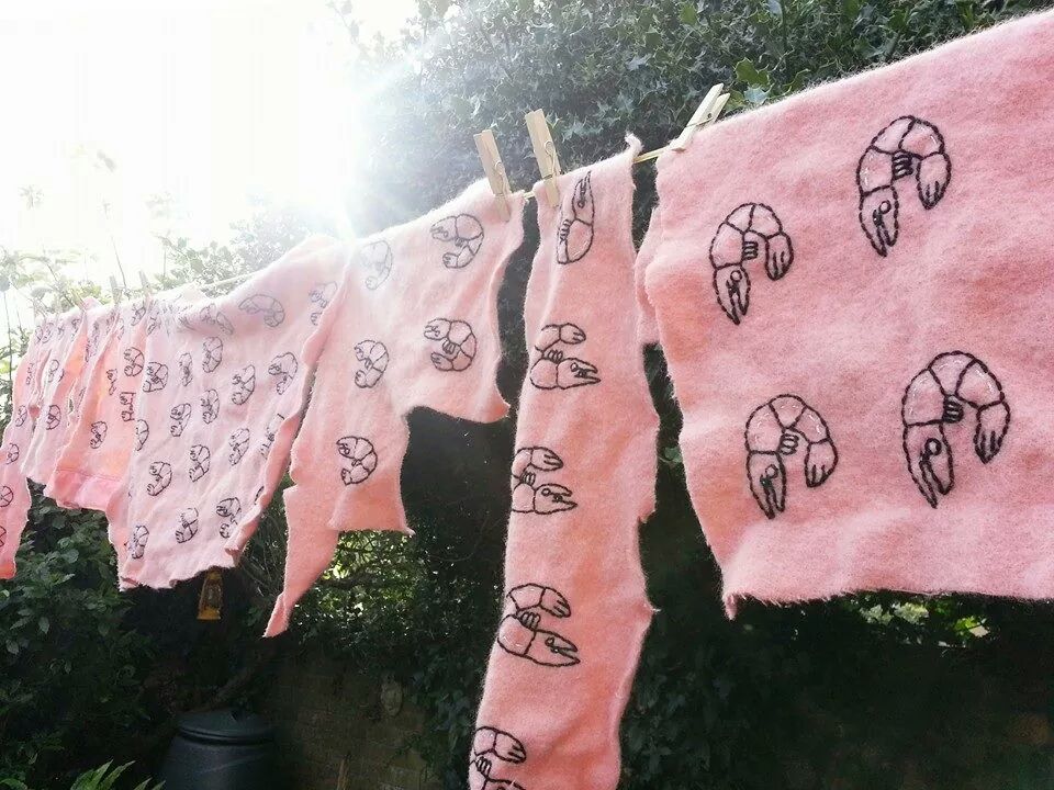 In praise of the versatility of wool: What makes our organic catnip toys so special?