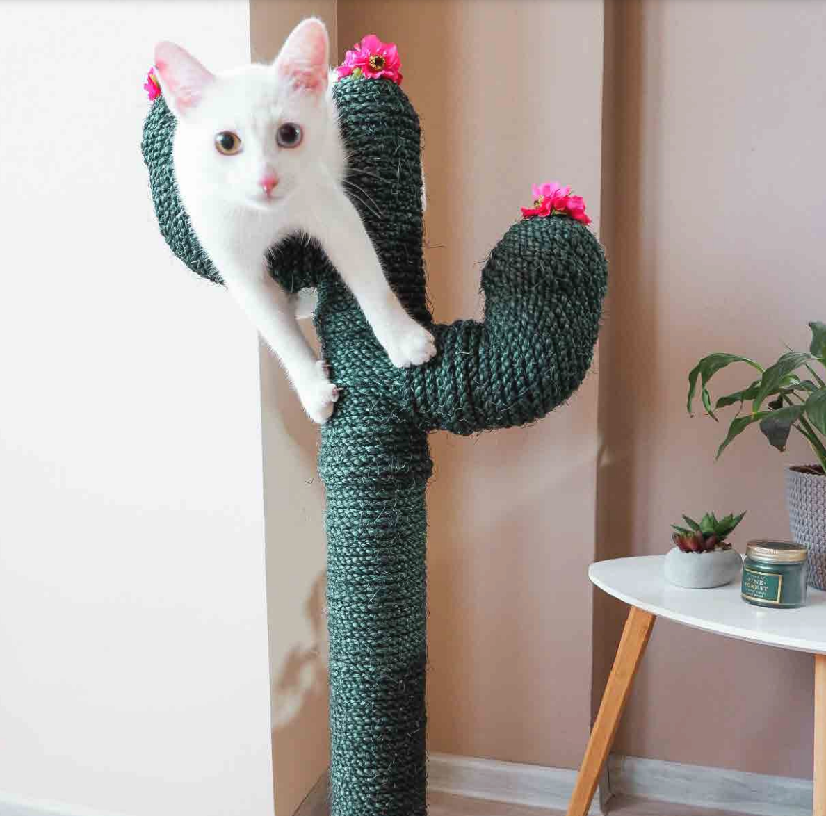 Celebrating International Cat Day - Buy Rope to Donate Profits to UK Cat Charity