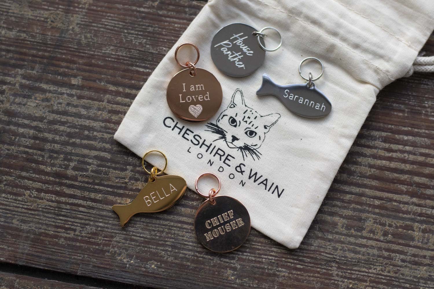 Does My Cat Need an ID Tag? Ask Cheshire & Wain
