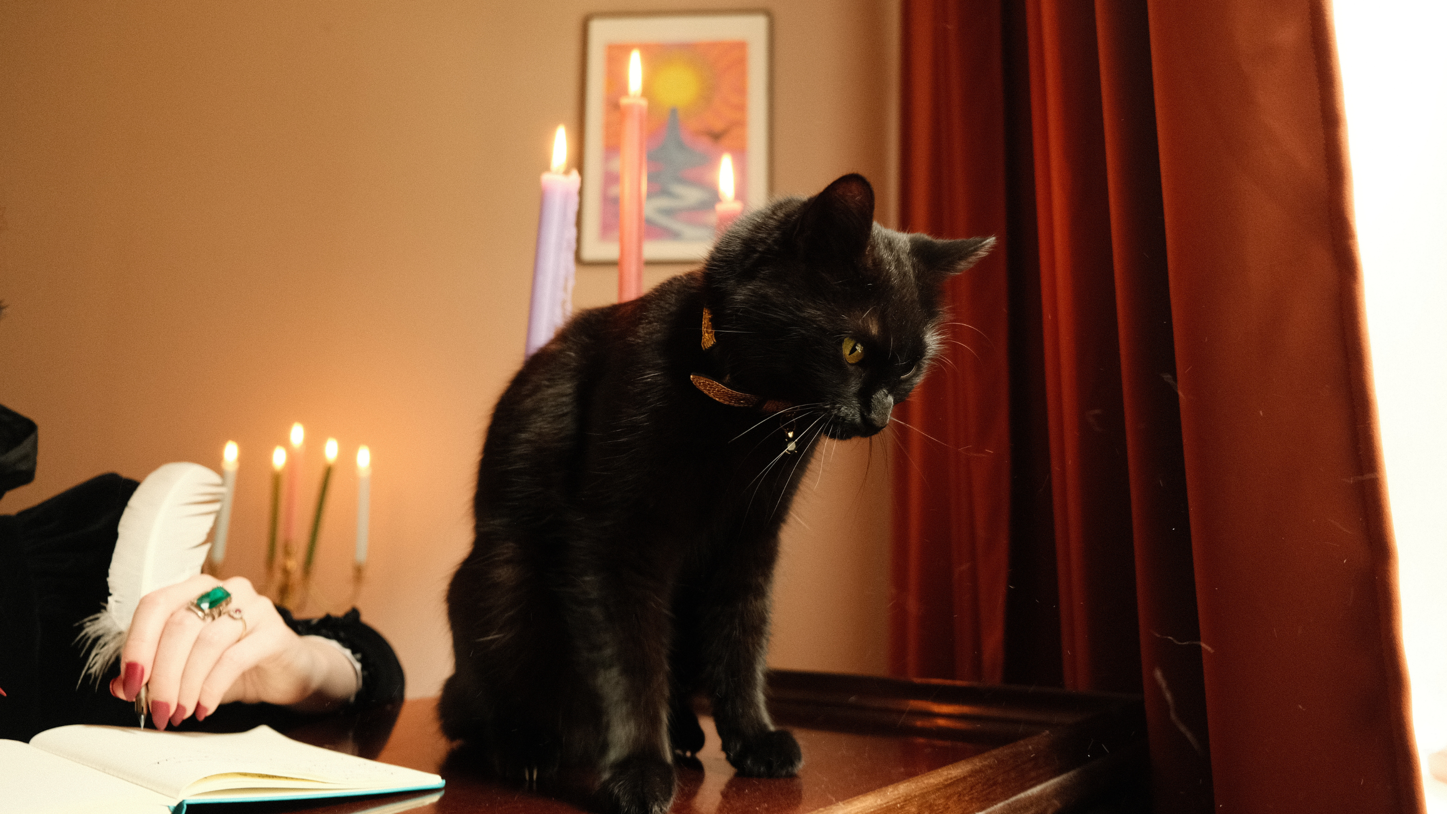 The Poet & The Pussycat | Bagheera the Feline Muse