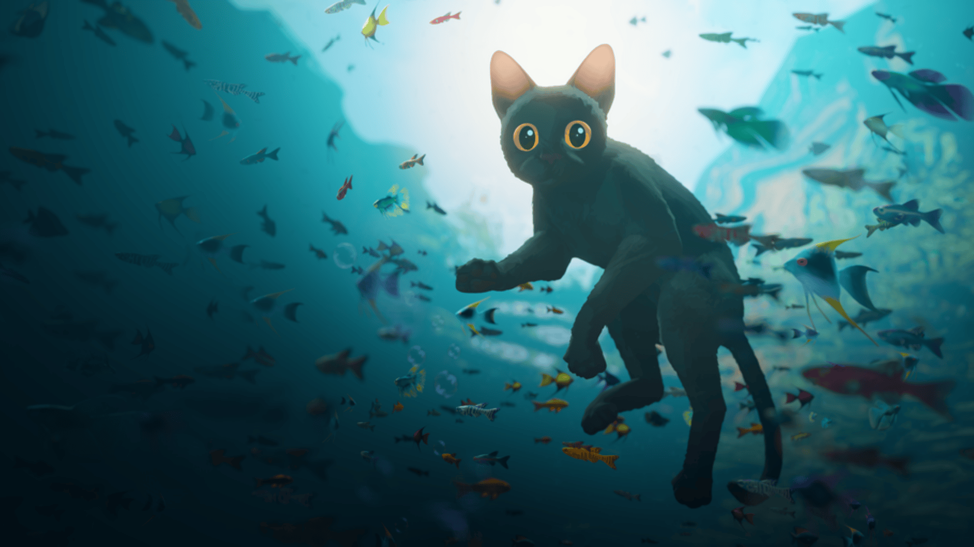 Film Review: A Black Cat That Will Steal Your Heart - Flow (2024)
