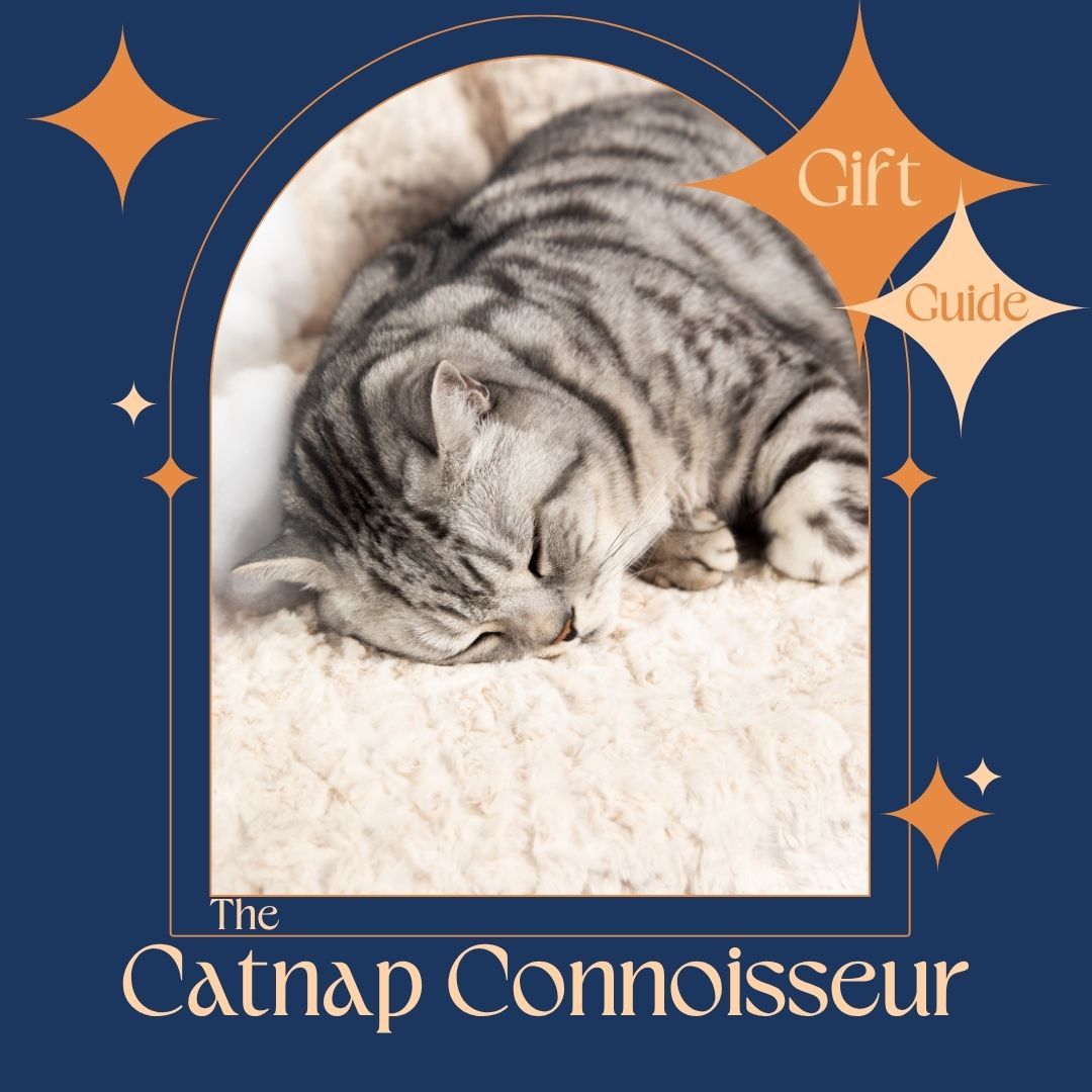 Christmas Gift Guides: The Catnap Connoisseur