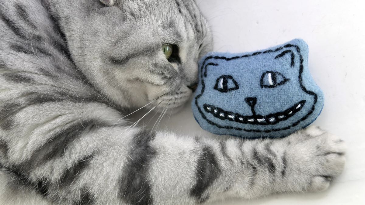 Catnip Toys