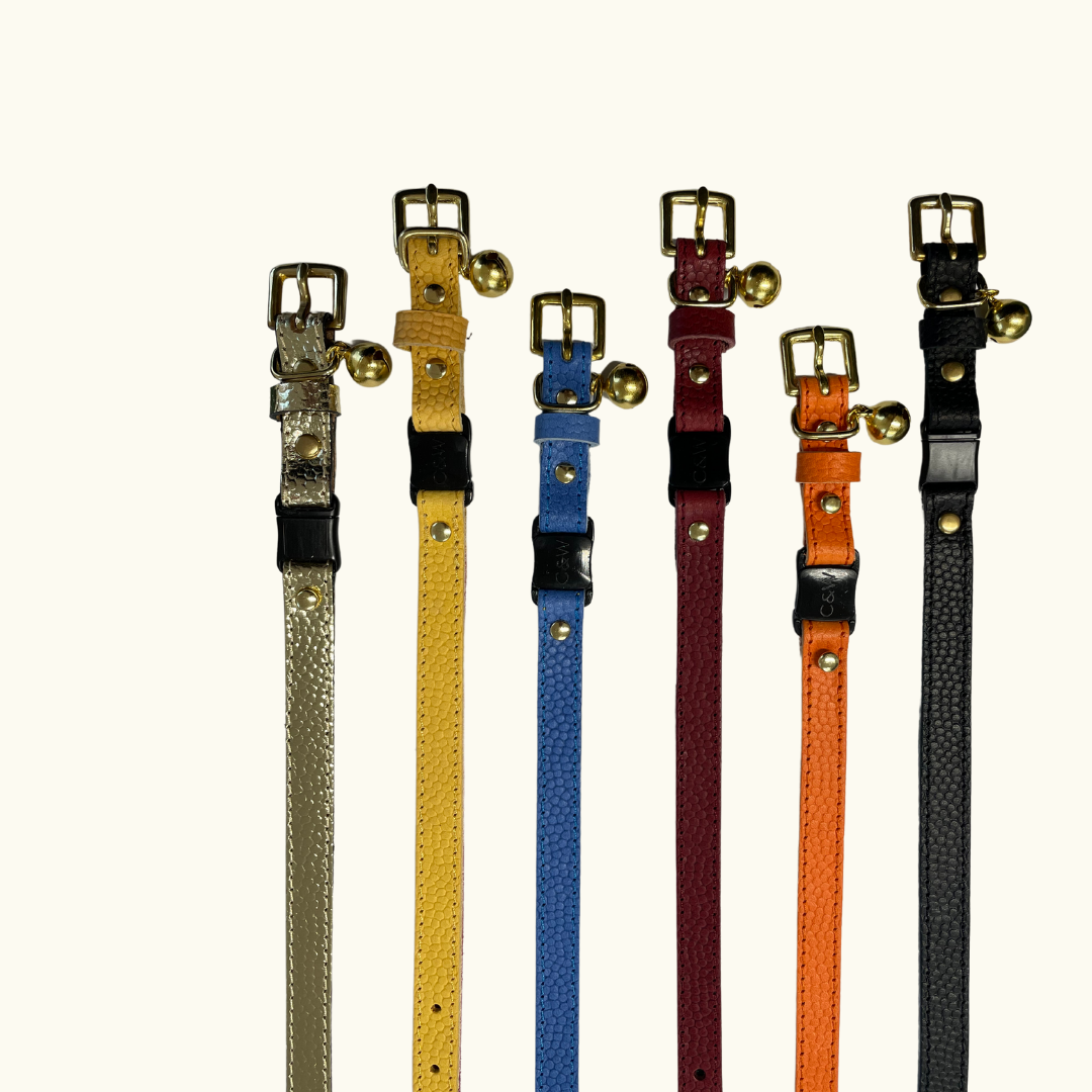 (SECONDS) Caviar Cat Collar