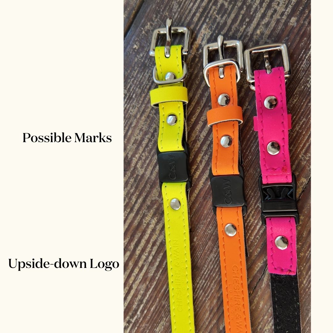 (SECONDS) Reflective Collars