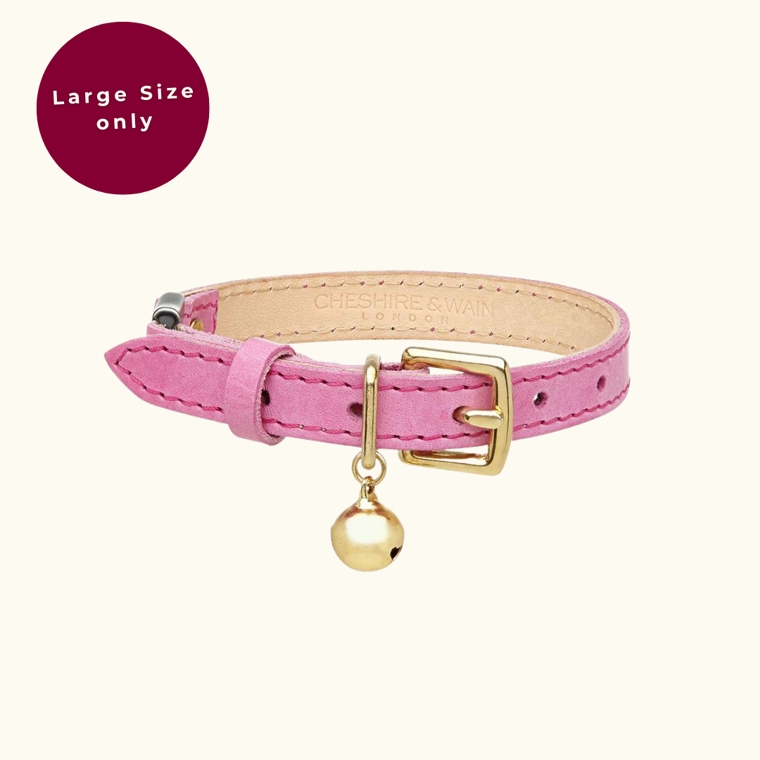 Pink cat collar best sale