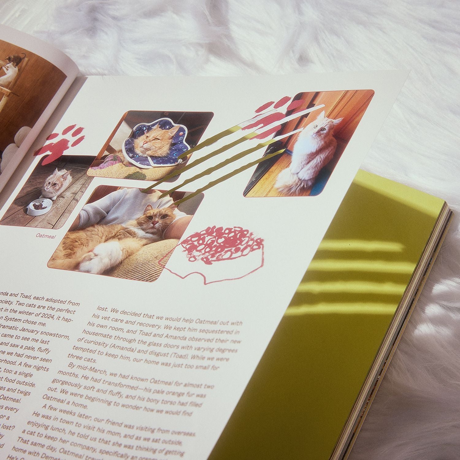 Catnip Magazine Vol. 2