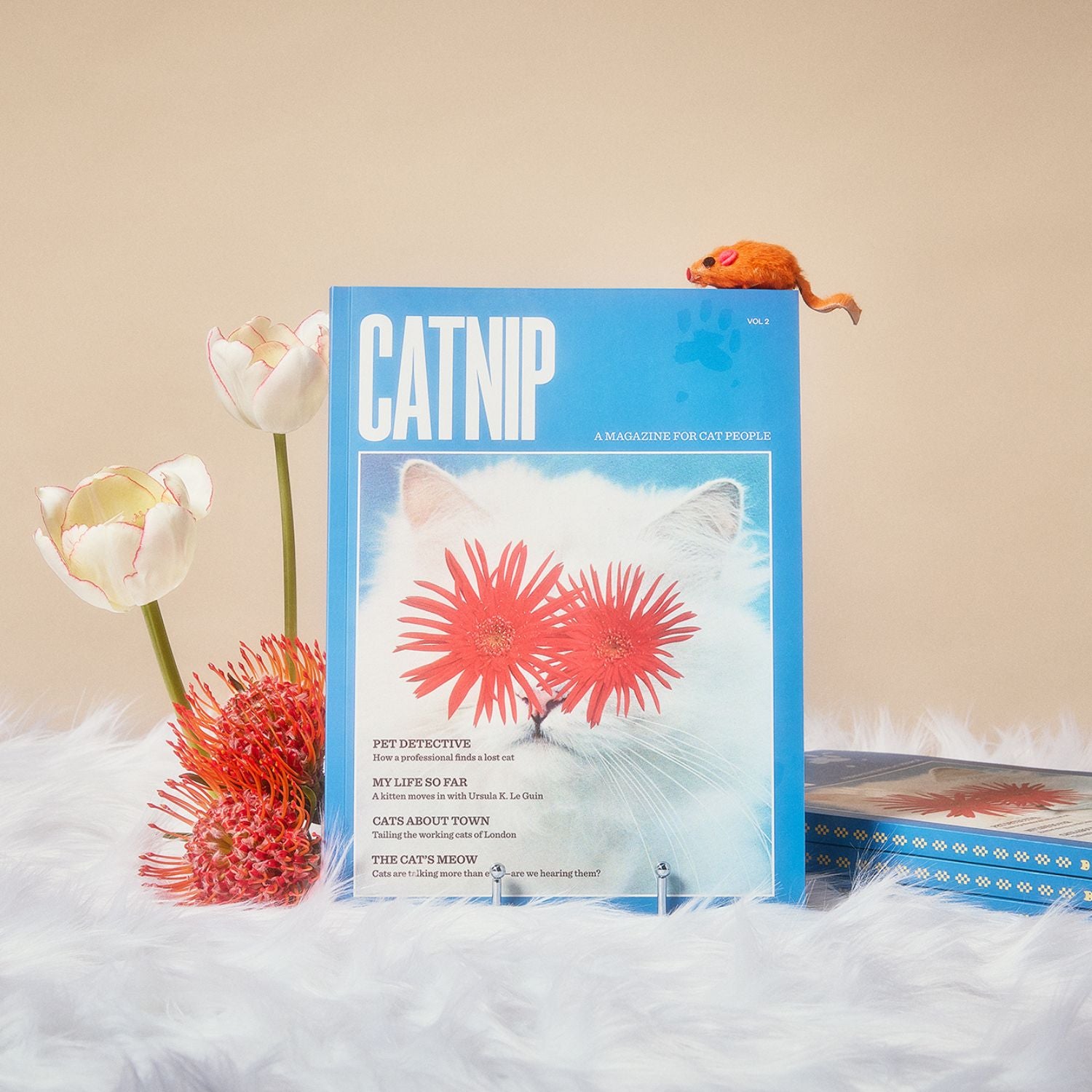 Catnip Magazine Vol. 2