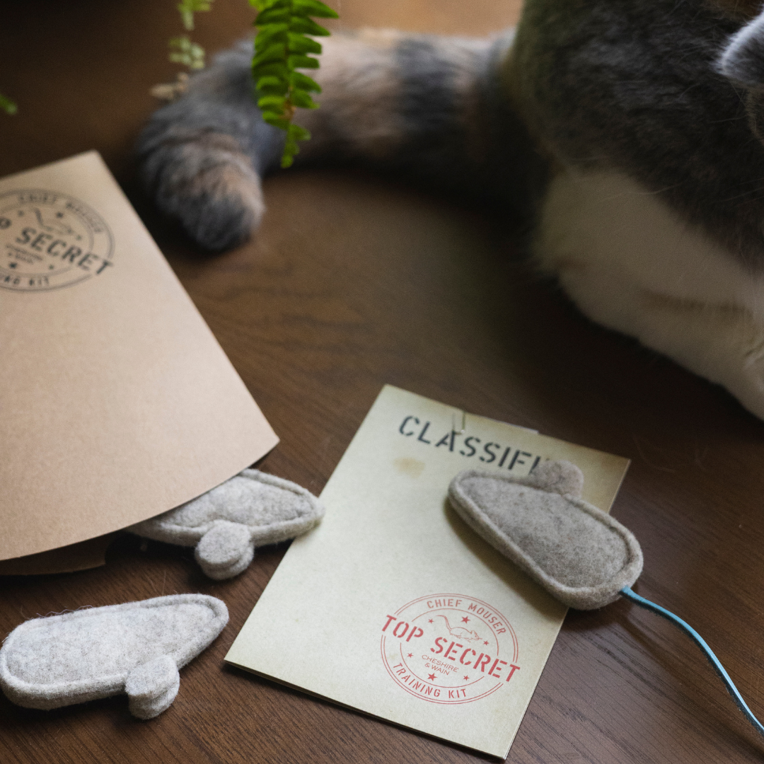 Chief Mouser Training Kit