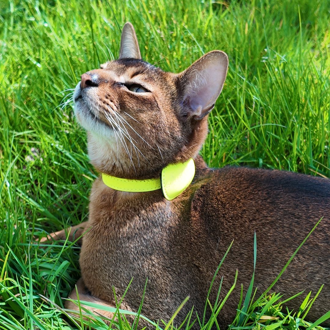 (SECONDS) Reflective Apple AirTag Case