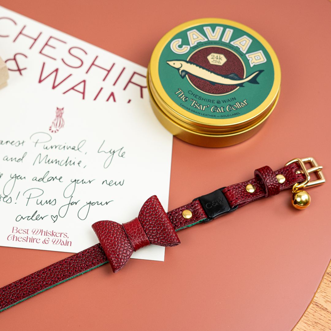 The 'Tsar' Caviar Cat Collar - Gold Label
