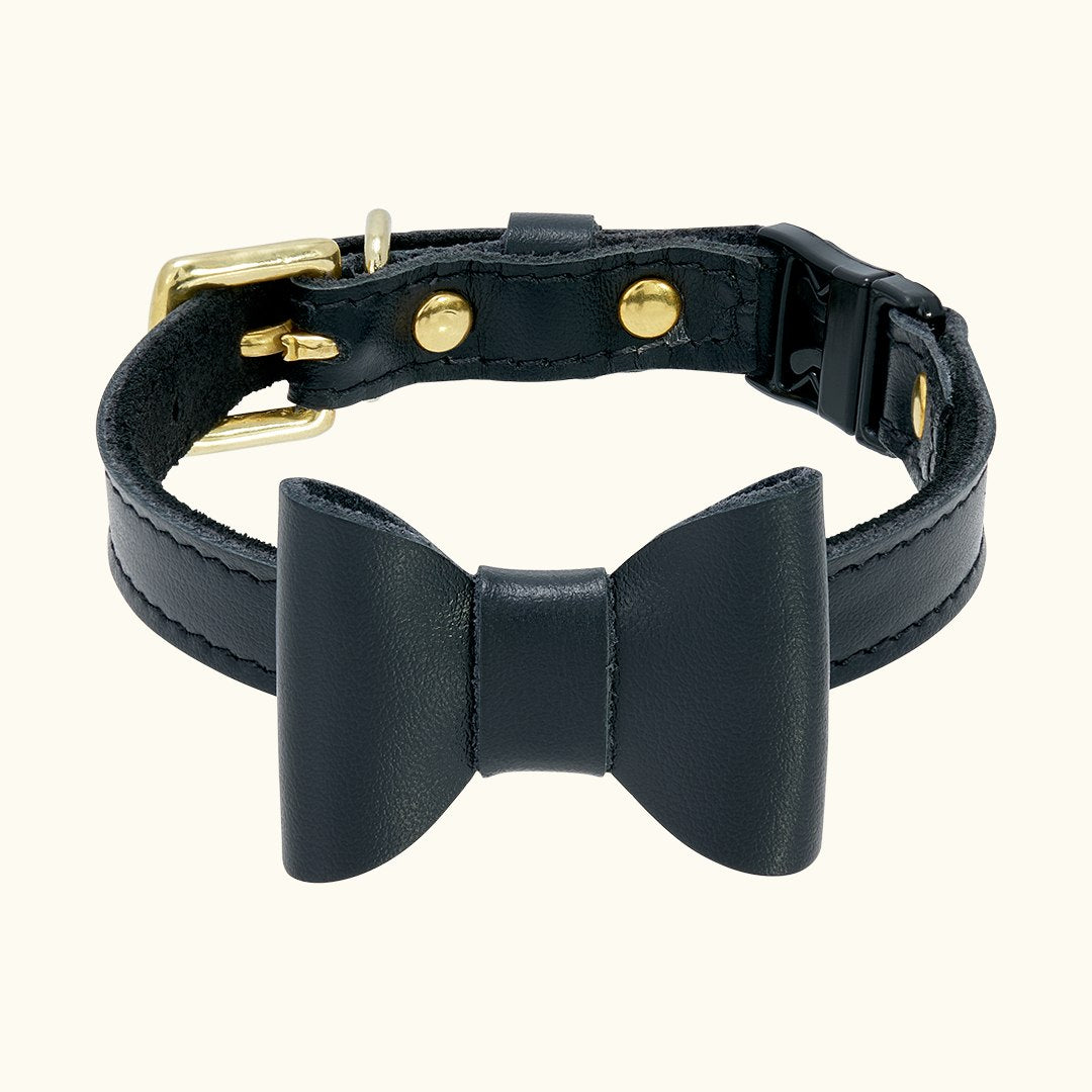A black leather cat collar with bow and gold buckle