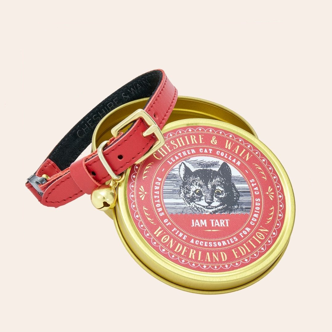 A red cat collar made from Italian leather, displayed on round golden tin packaging with a decorative pattern around the edge. The tin has an illustration of the Cheshire Cat - the brand 'Cheshire & Wain'.