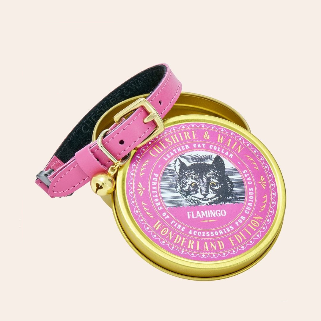 A pink leather cat collar with brass hardware, displayed on a round golden tin with a Cheshire Cat illustration in the center.