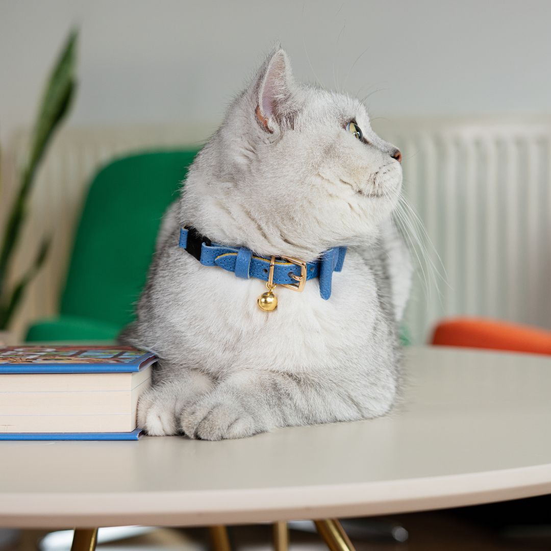 The 'Royal' Caviar Cat Collar - Gold Label