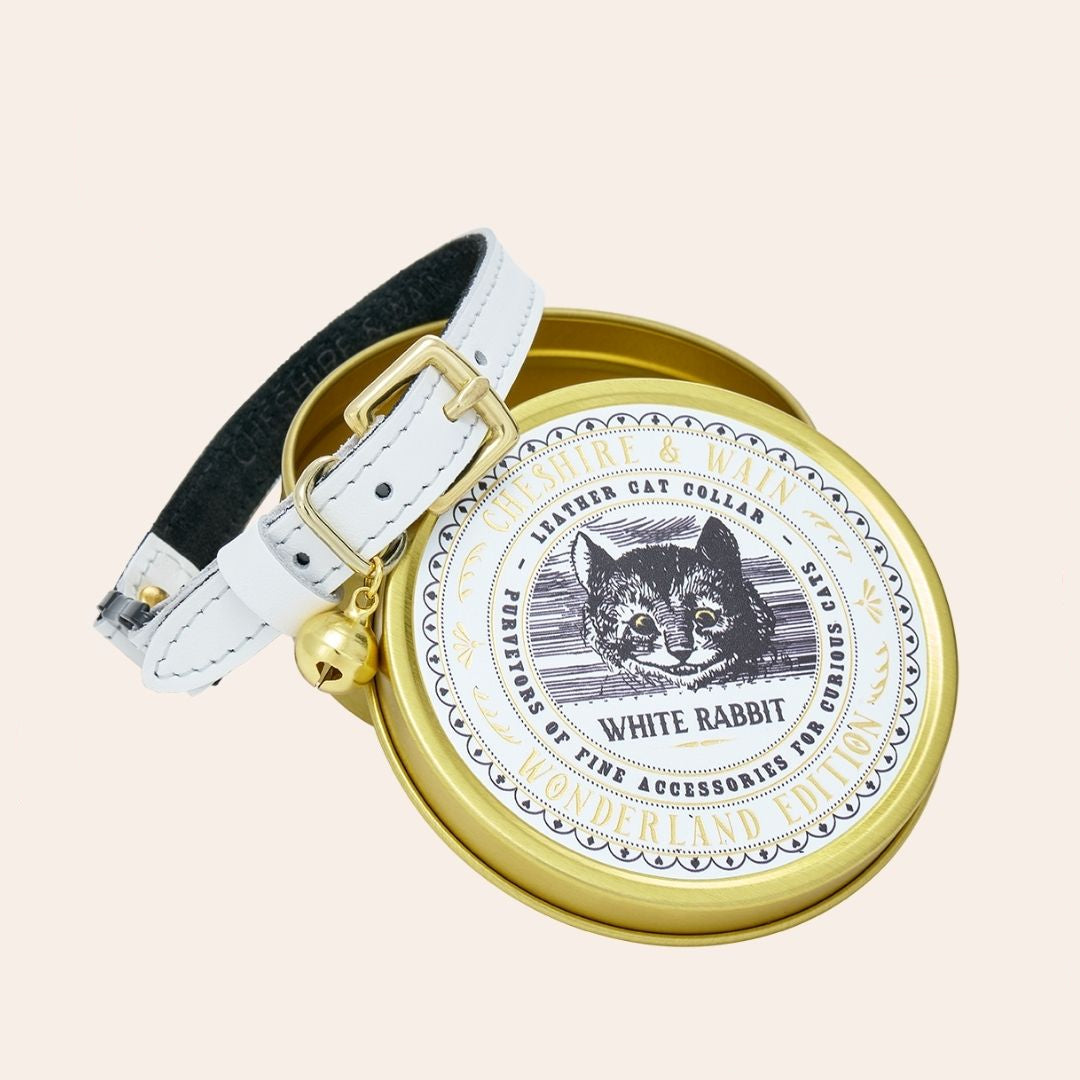 A white leather cat collar with brass hardware, displayed on a gold tin featuring a Cheshire Cat illustration.