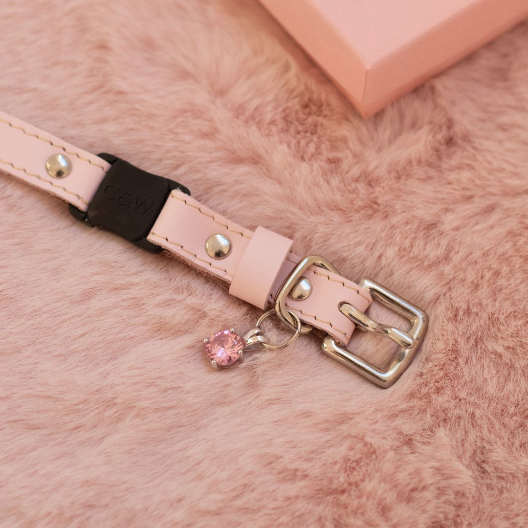 Leather cat collar with breakaway catch