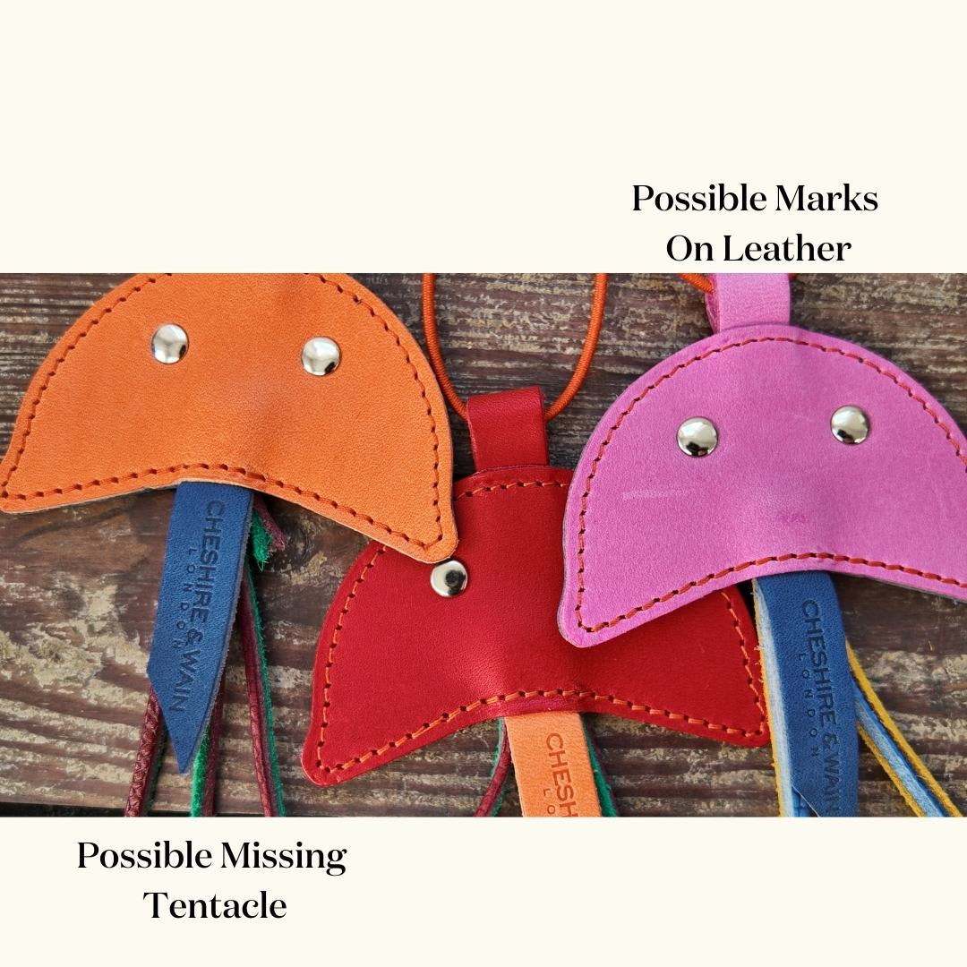 (SECONDS) Jellyfish Leather Teaser Toy Lucky Dip!