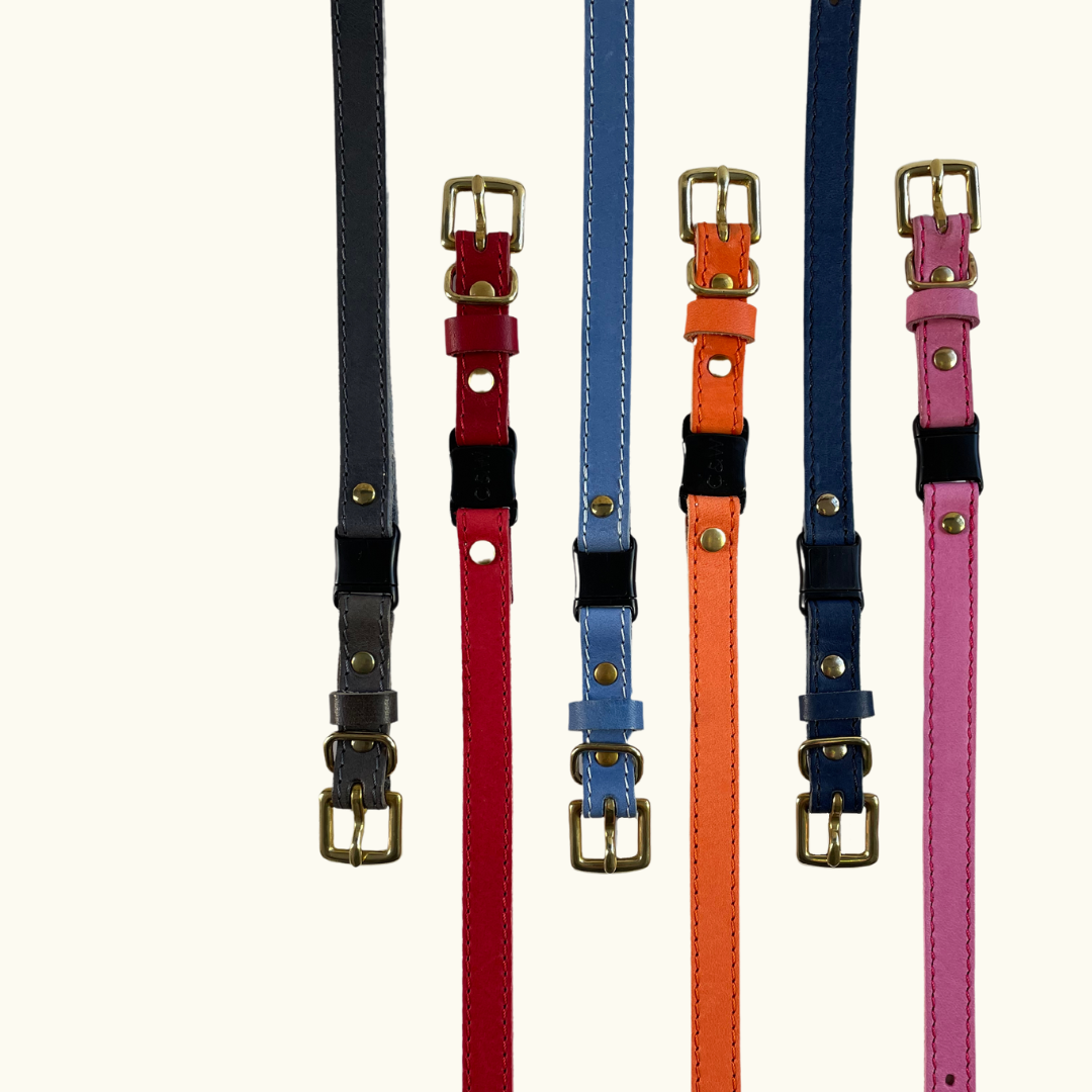 Kitten & Small Adult (Petite Size) Mystery Collar Lucky Dip!