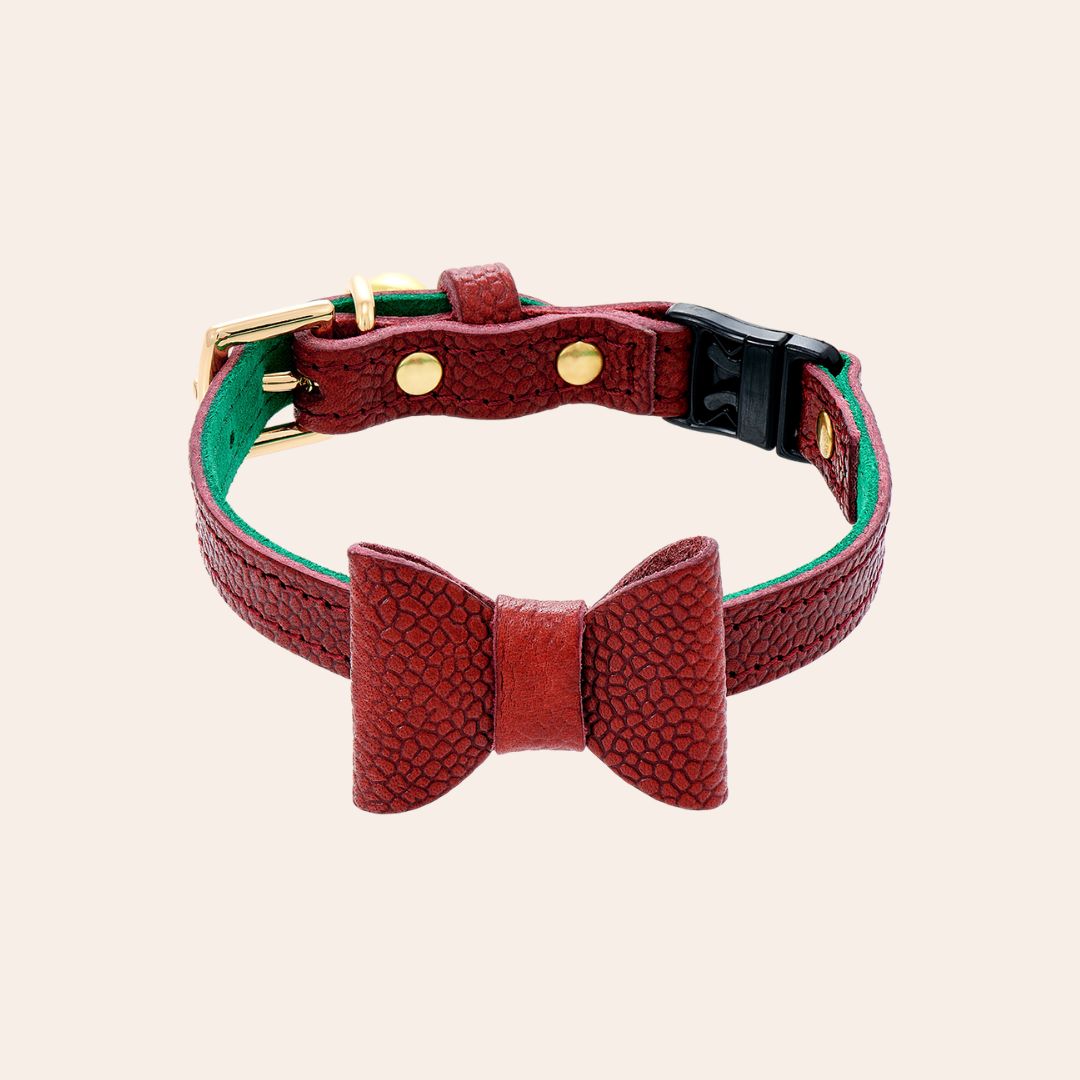 The 'Tsar' Caviar Cat Collar - Gold Label