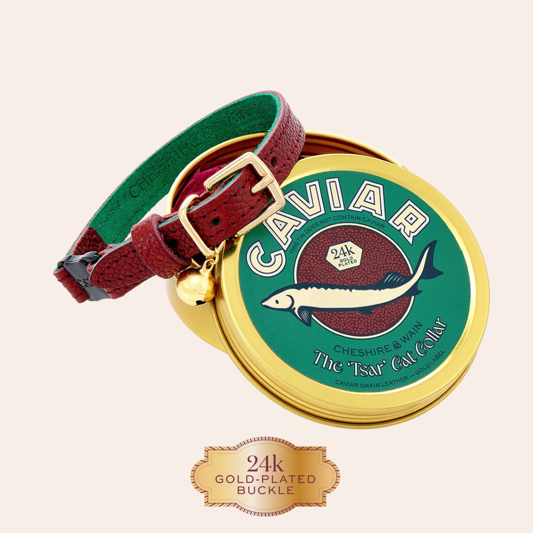 The 'Tsar' Caviar Cat Collar - Gold Label