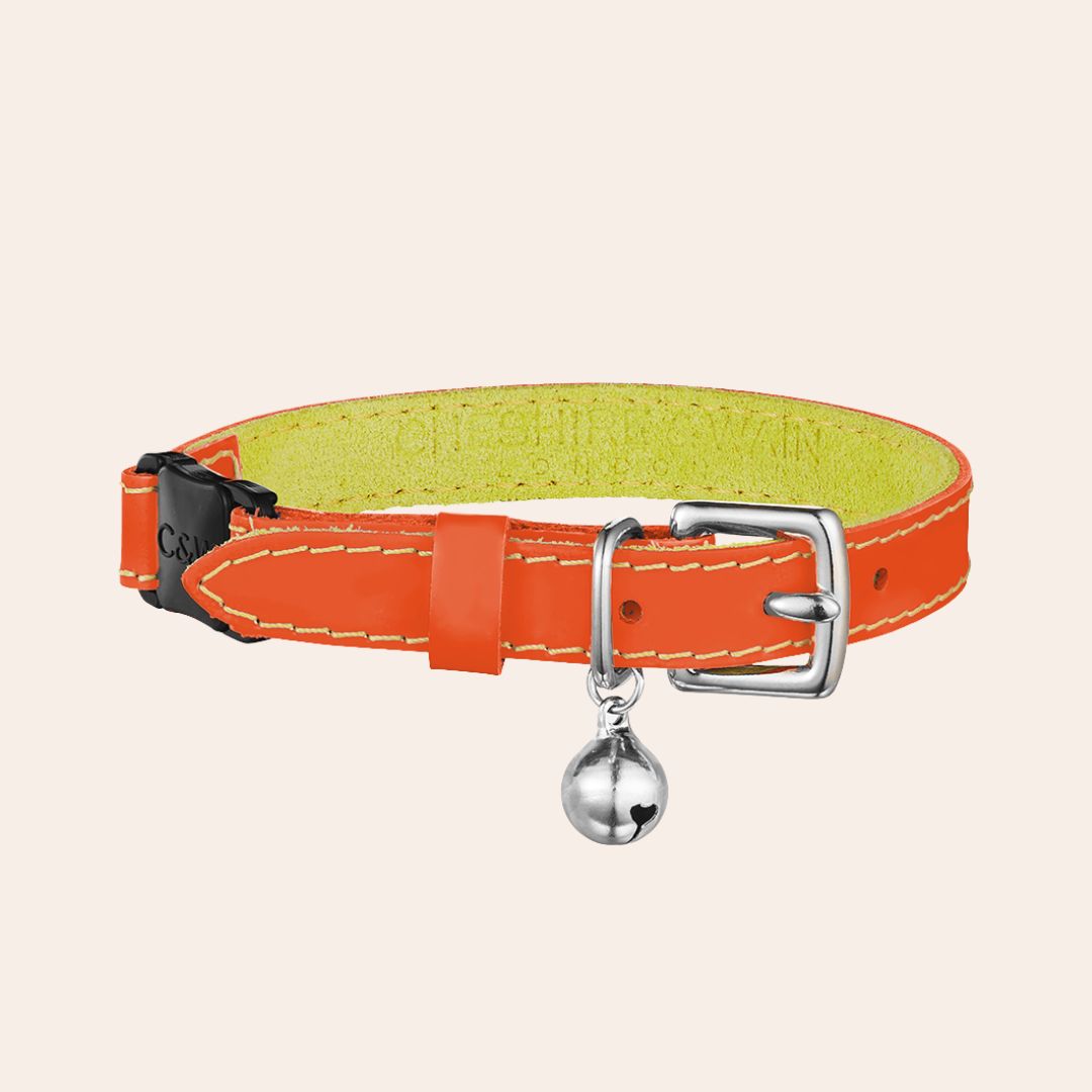 Louis Wain - Purrsimmon Orange Cat Collar