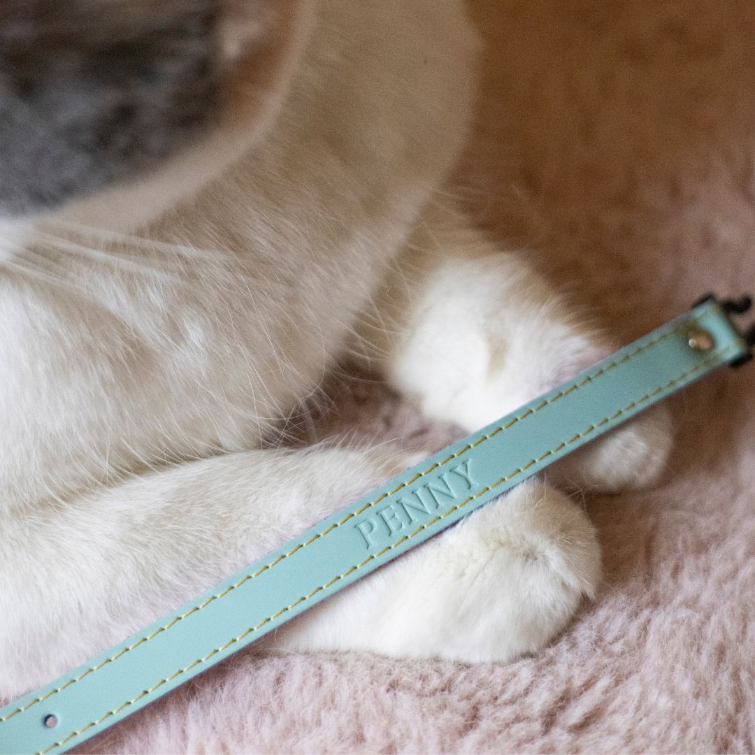 Louis Wain - Pastel Mint Cat Collar