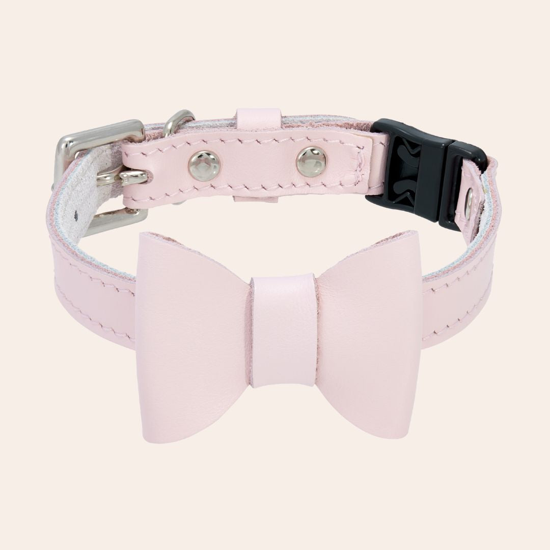 Petal Pink Rococo Leather Cat Collar