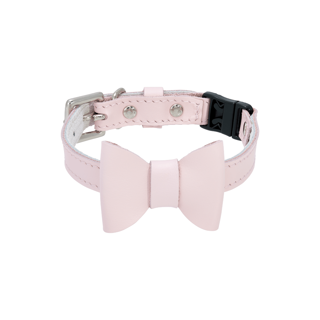 Rococo - Petal Cat Collar