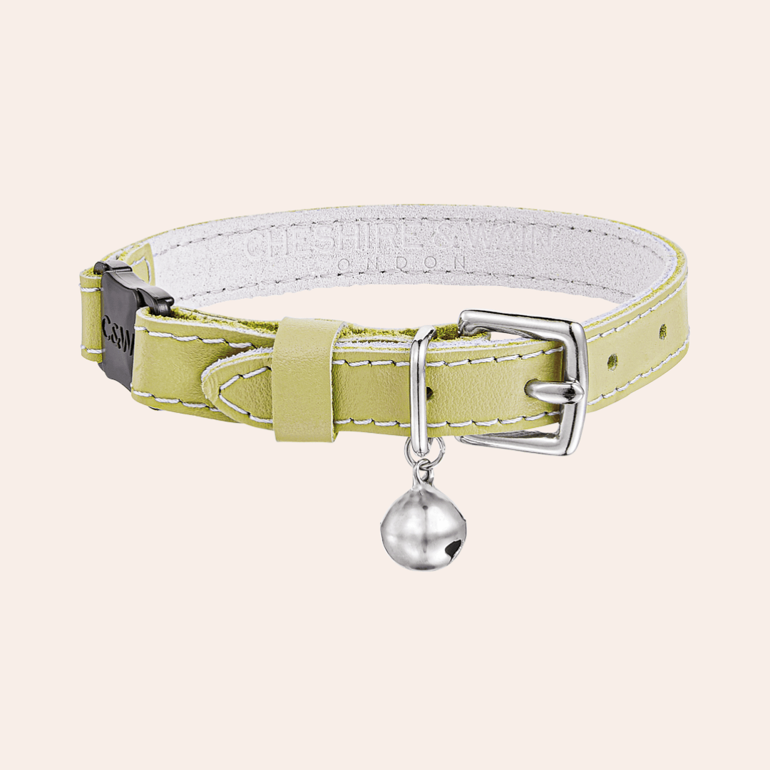 Rococo - Pistachio Cat Collar