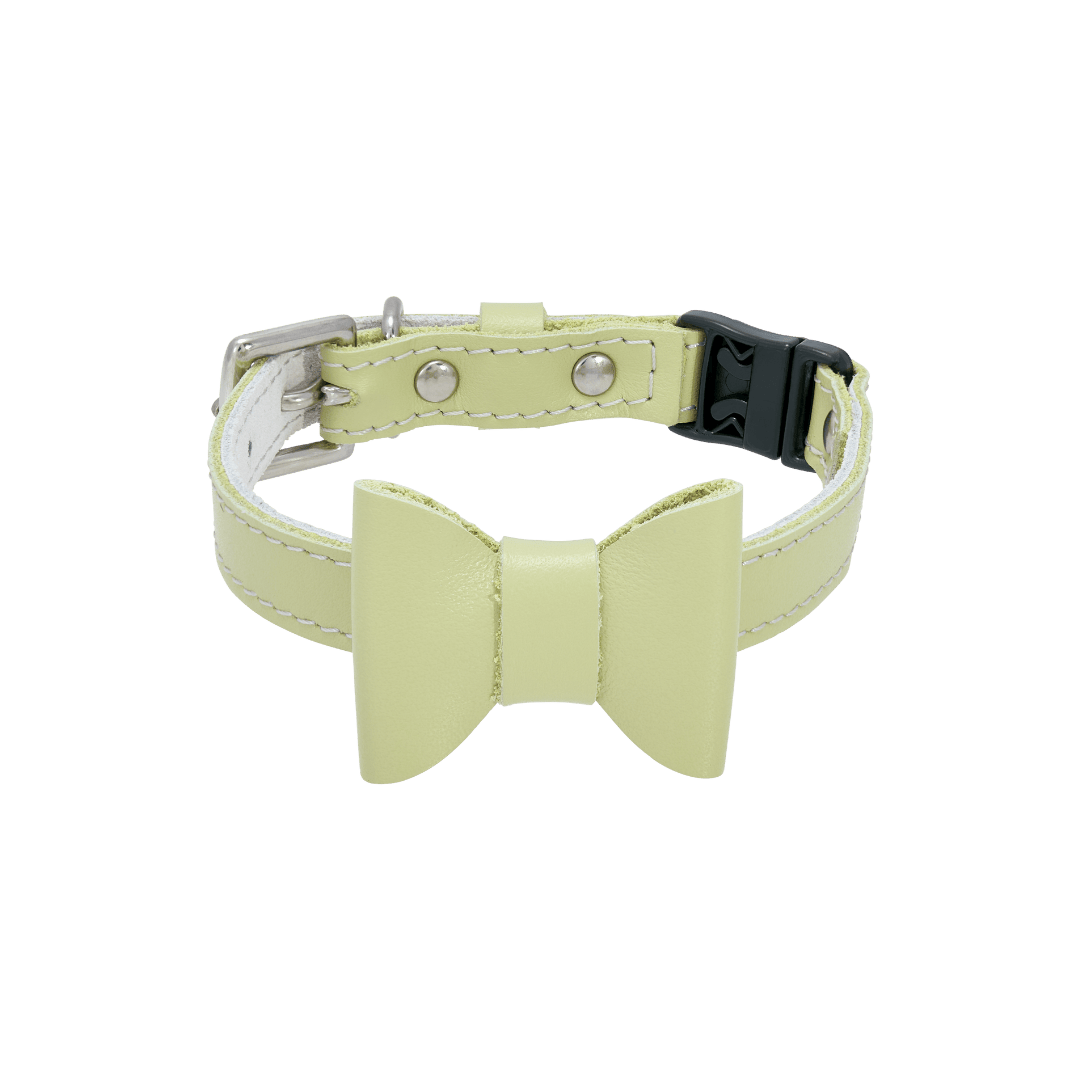 Rococo - Pistachio Cat Collar