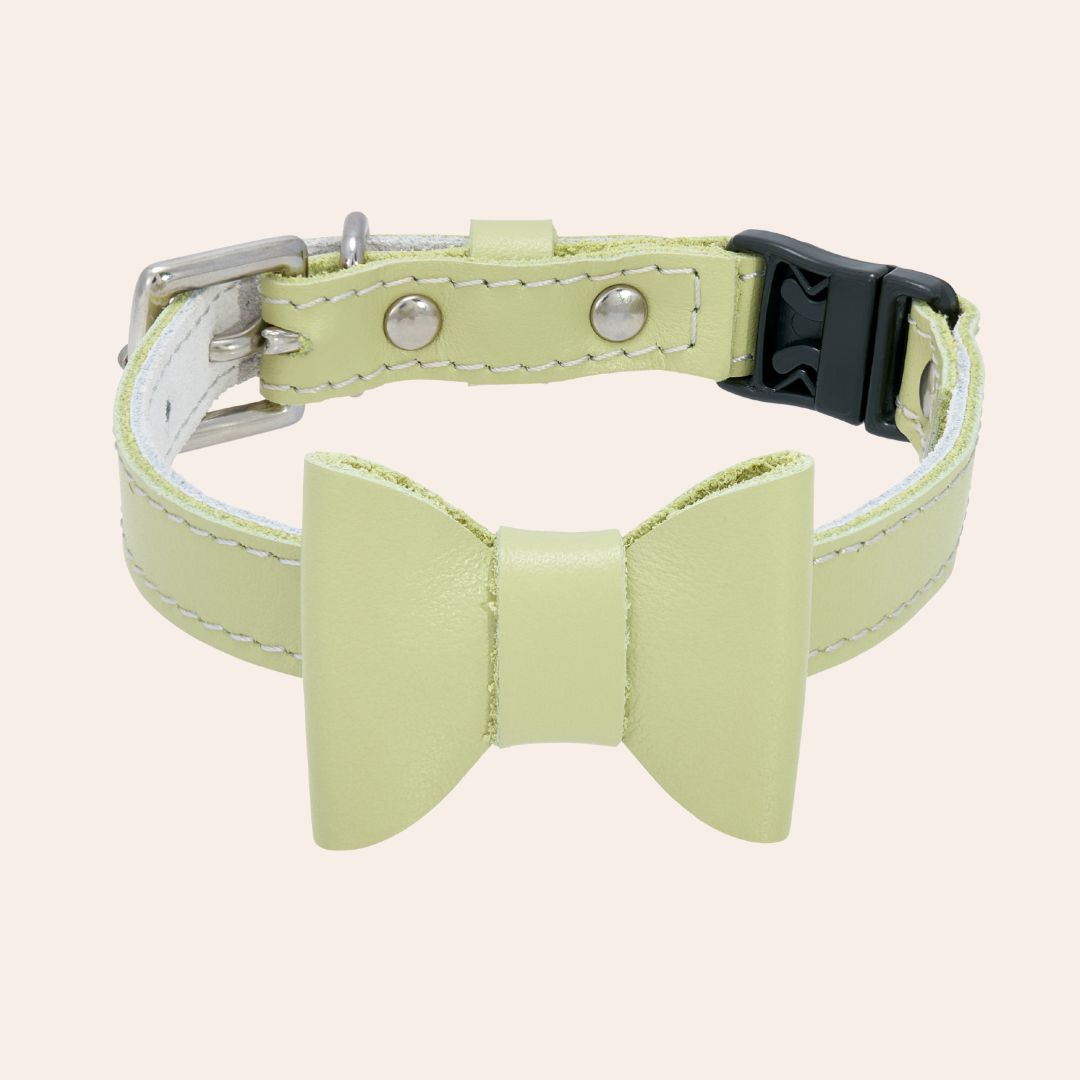Pistachio Green Rococo Cat Collar