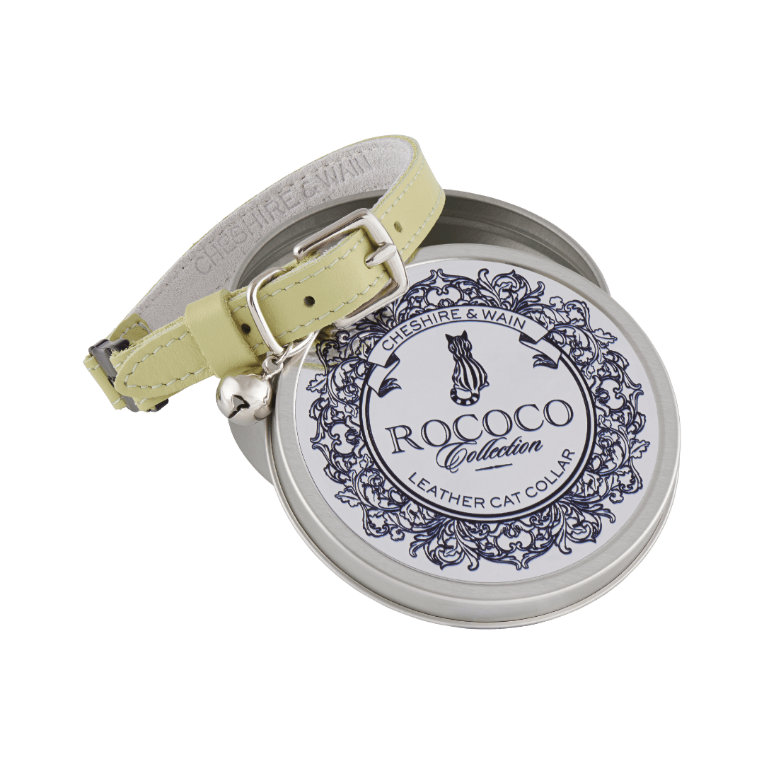 Rococo - Pistachio Cat Collar