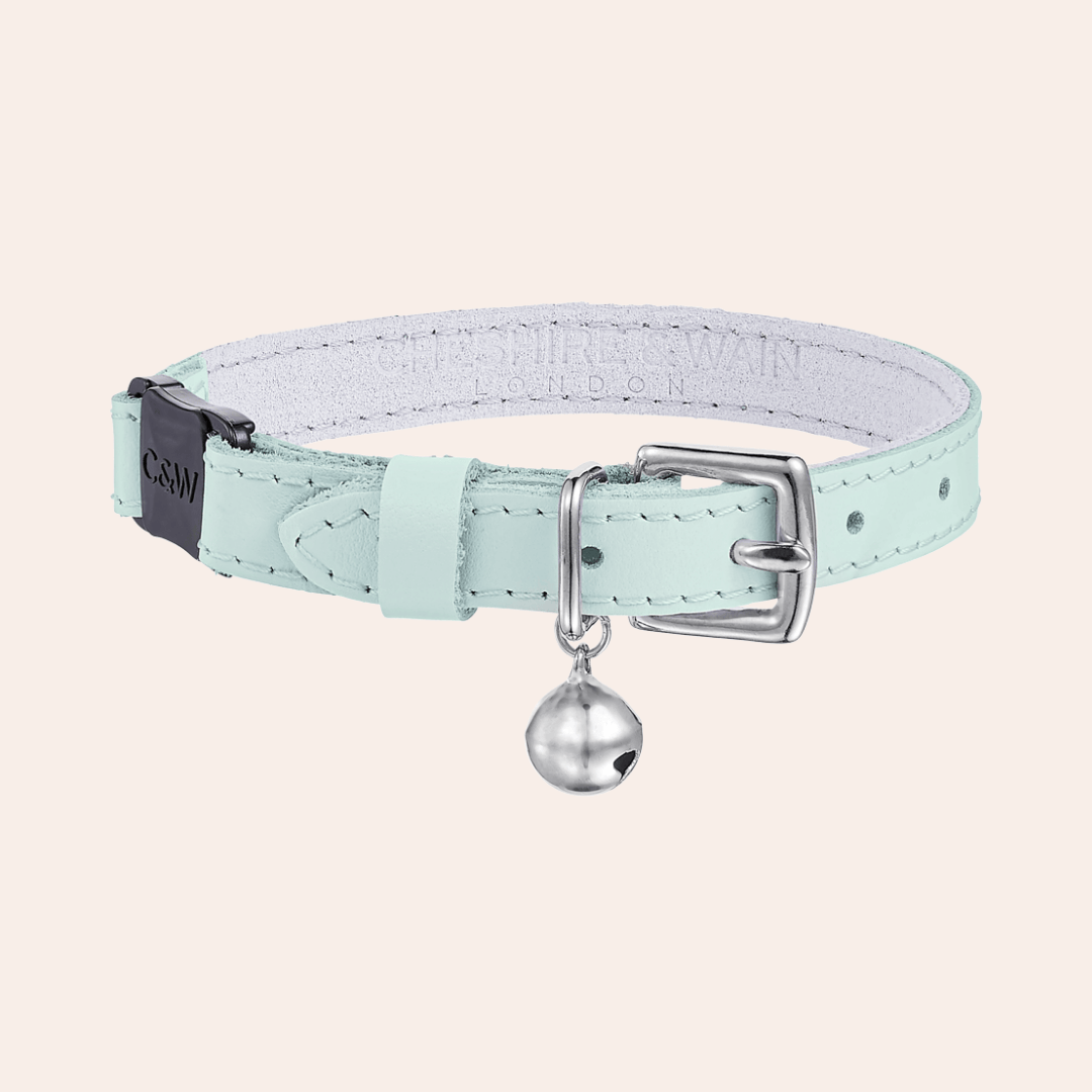 Rococo - Powder Blue Cat Collar
