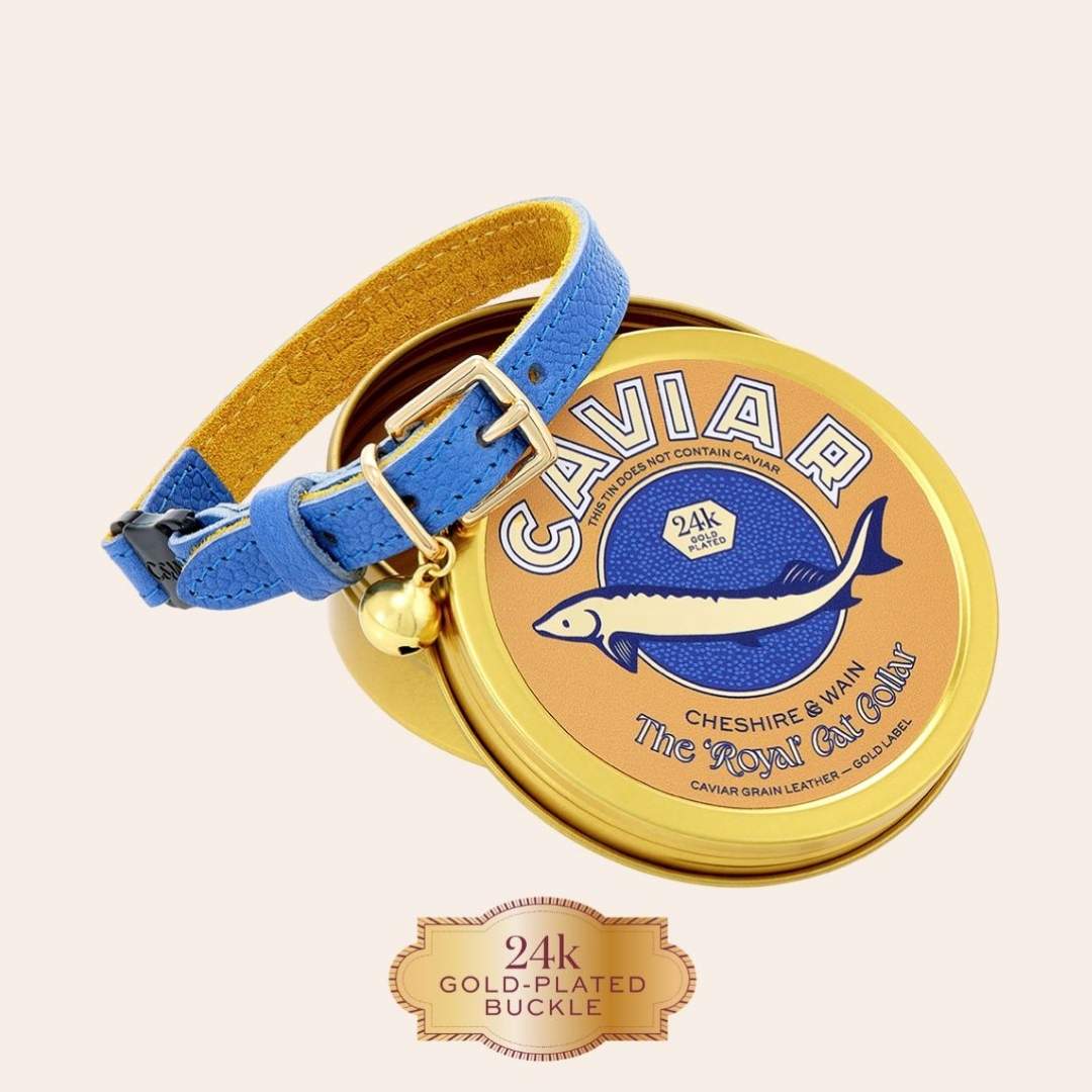 The 'Royal' Caviar Cat Collar - Gold Label