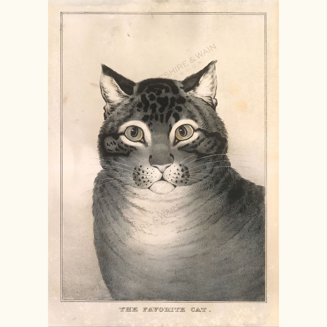 Nathaniel Currier Art Print - The Favorite Cat