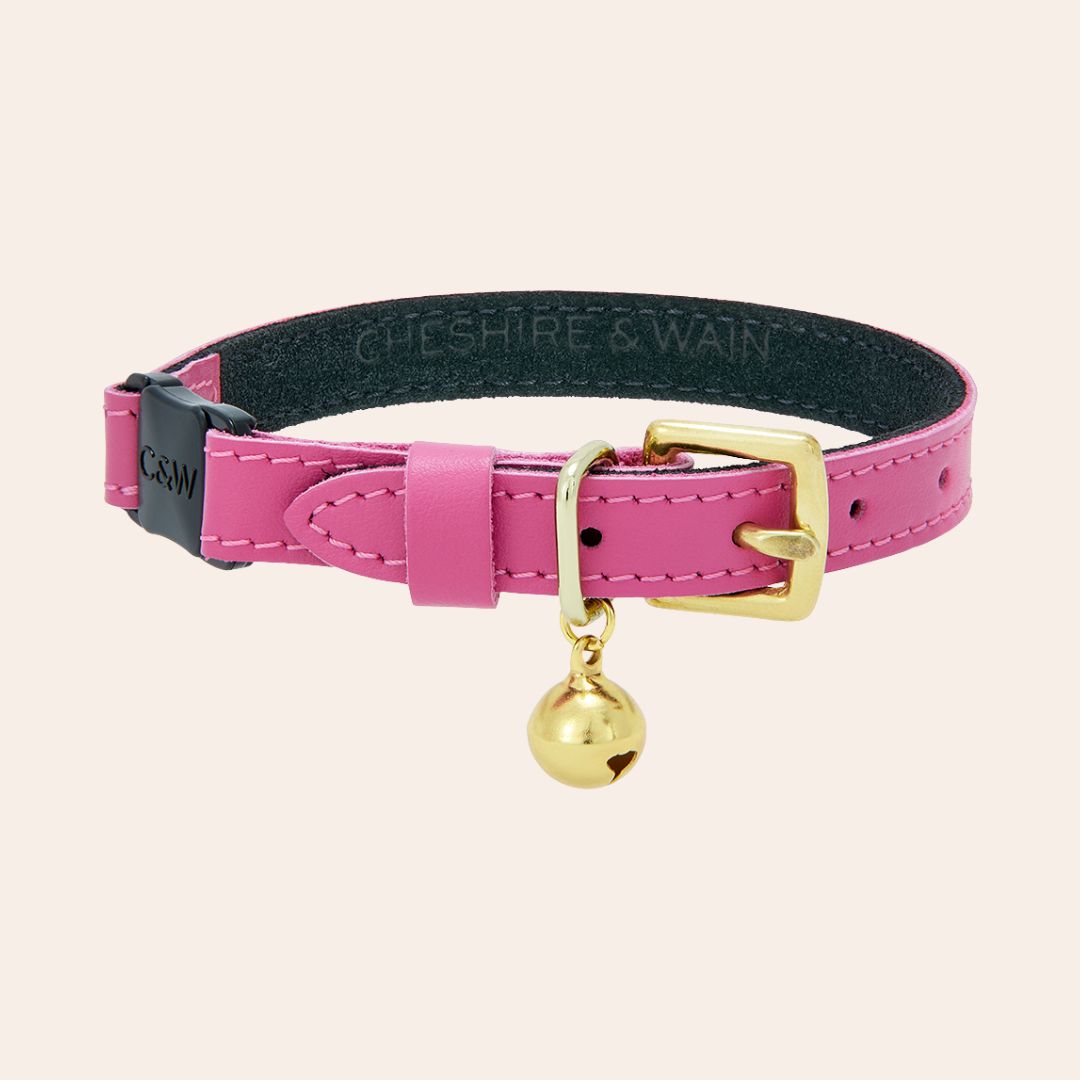Wonderland - Flamingo Pink Cat Collar