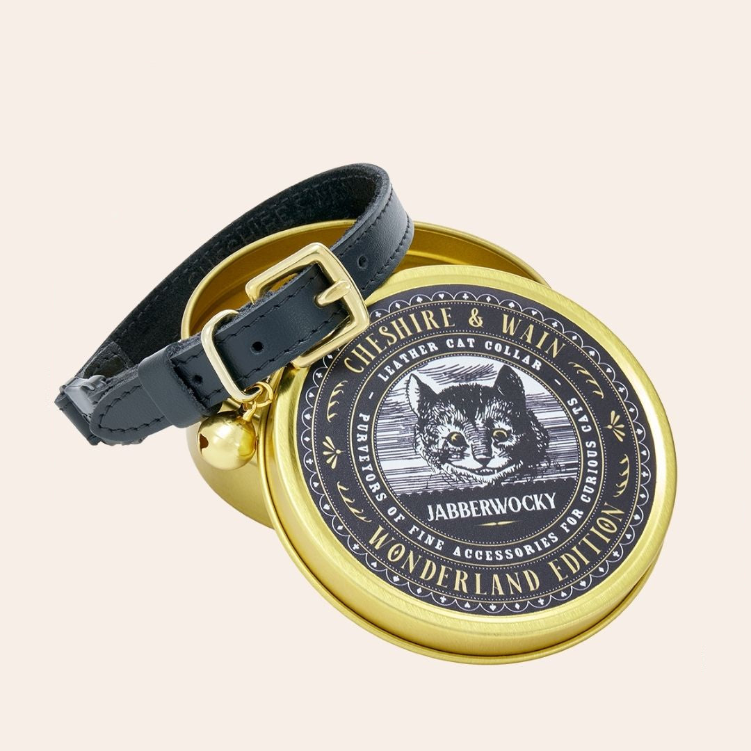 A black leather cat collar with brass hardware, displayed on a gold-colored tin with the text 'Jabberwocky' and a graphic of a cat's face.