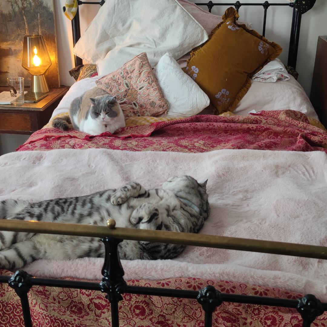 Cat Cloud® Throw - Cirrus Pink