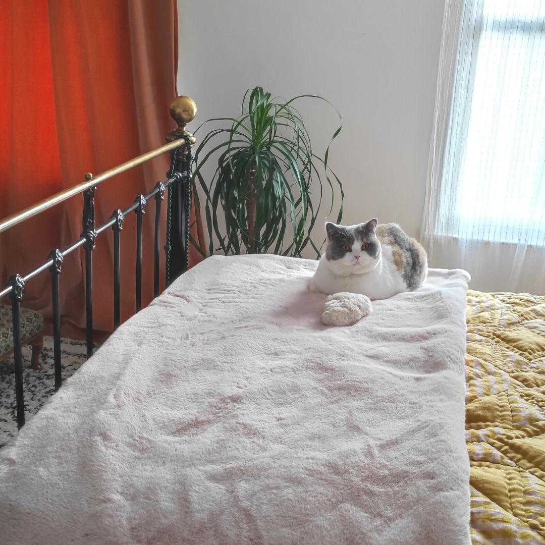 Cat Cloud® Throw - Cirrus Pink