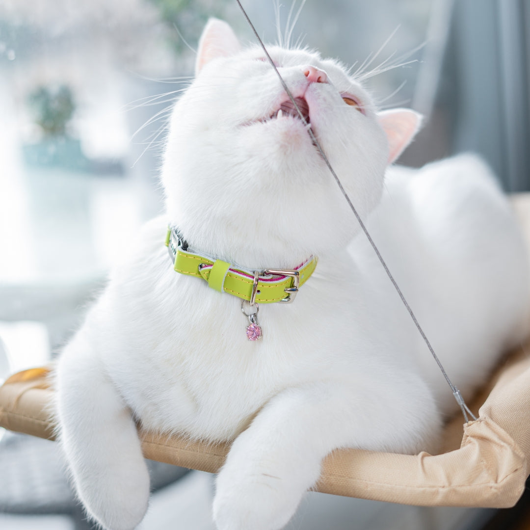 Louis Wain - Chartreuse Green Cat Collar