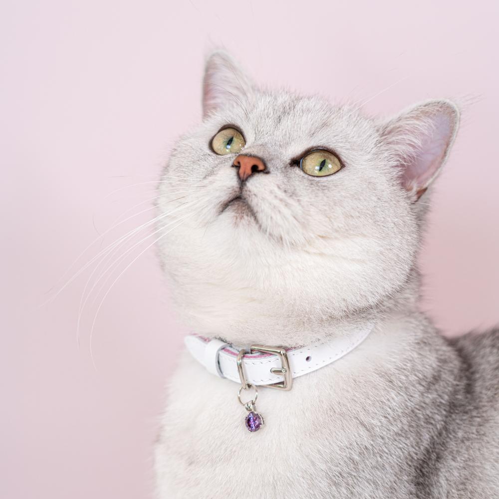 'Amethyst' Gem Collar Charm