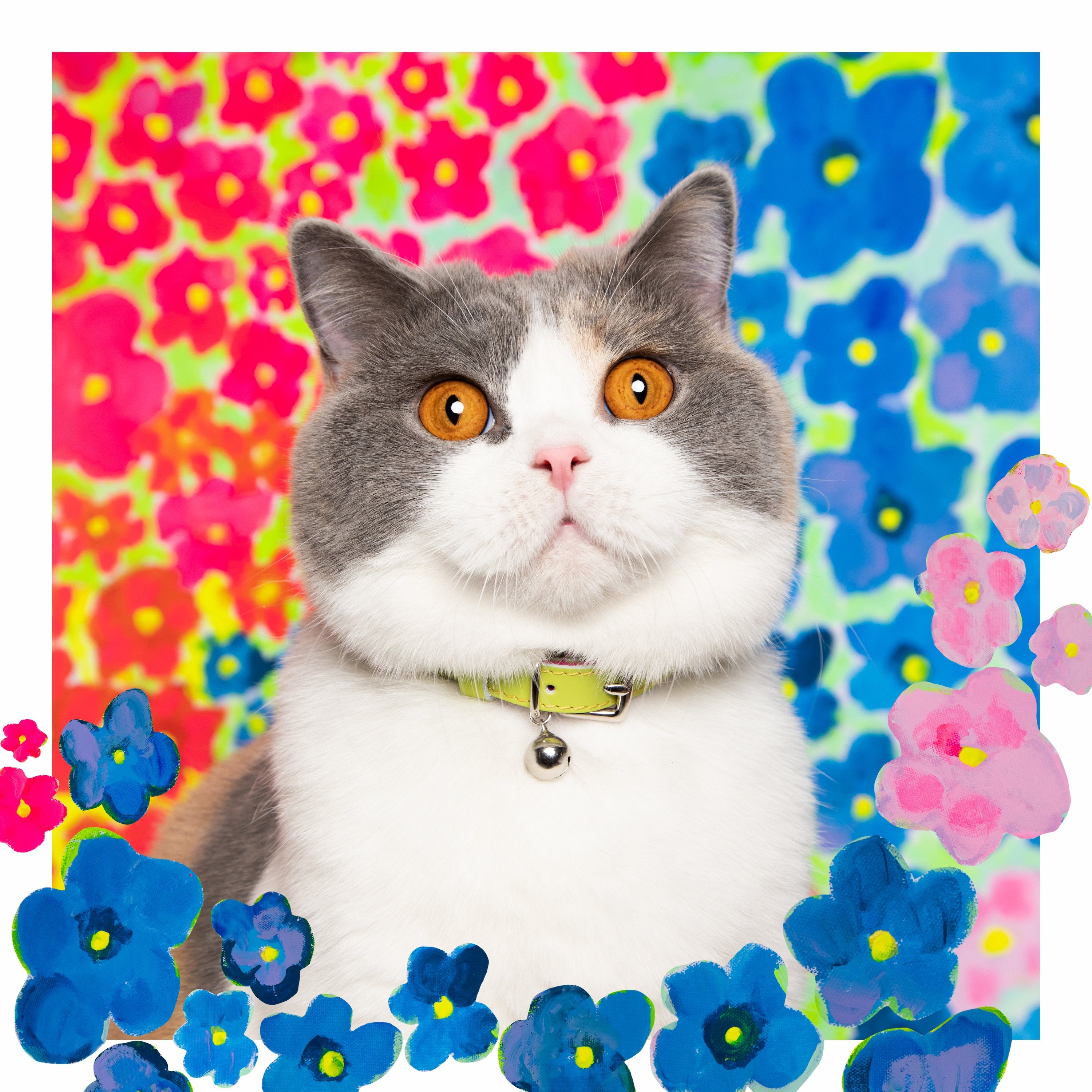 Louis Wain - Chartreuse Green Cat Collar