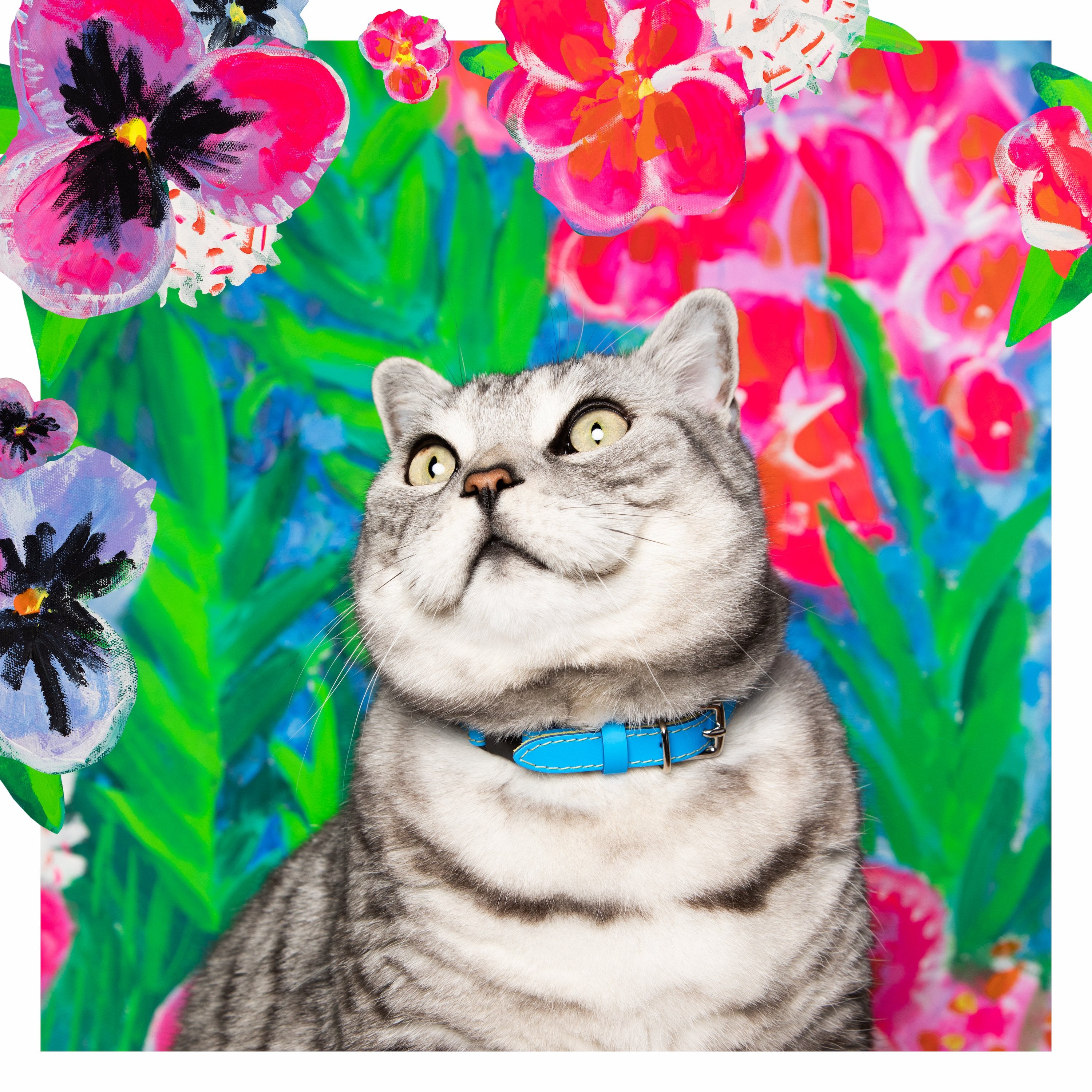 Louis Wain - Electric Blue Cat Collar