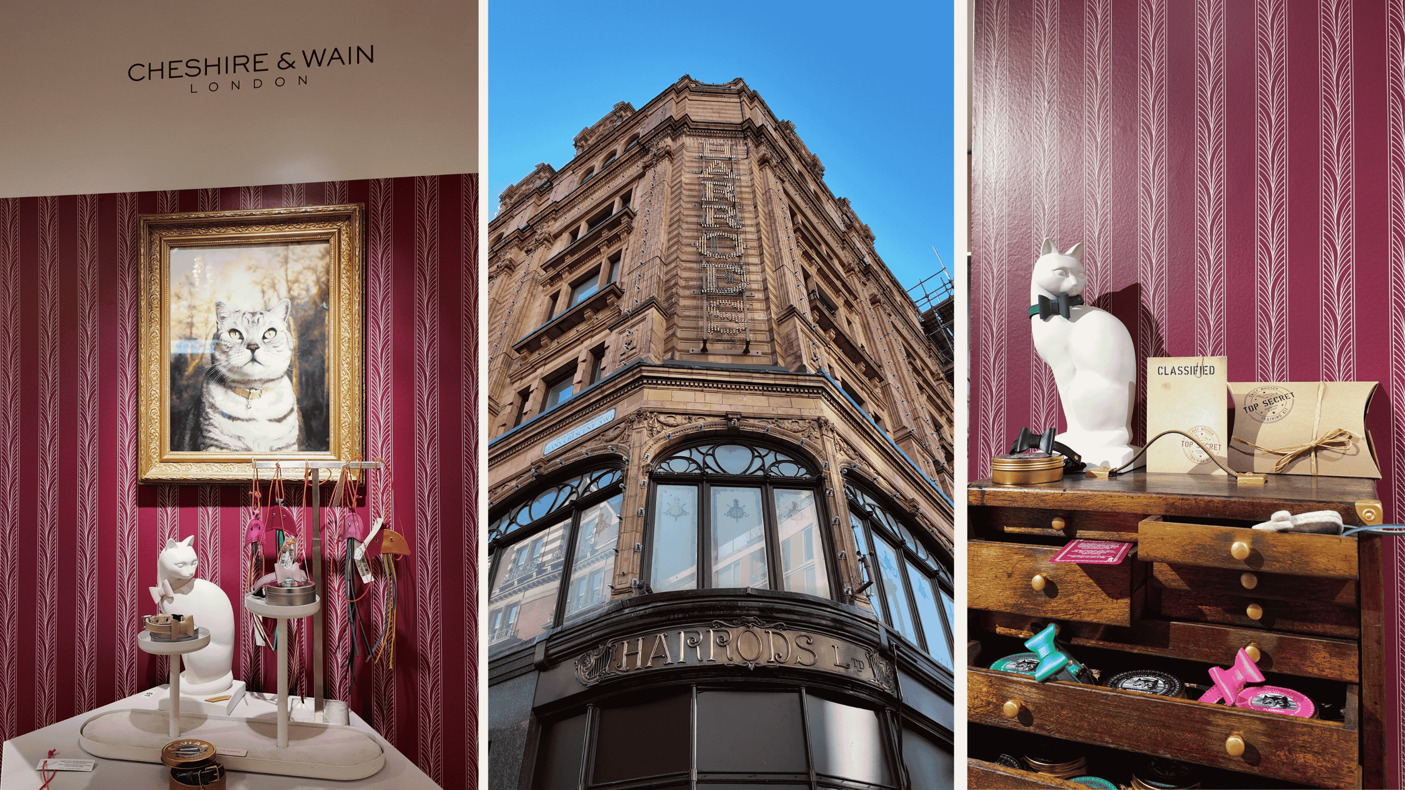 Discover Cheshire & Wain at Harrods | Luxury Cat Accessories