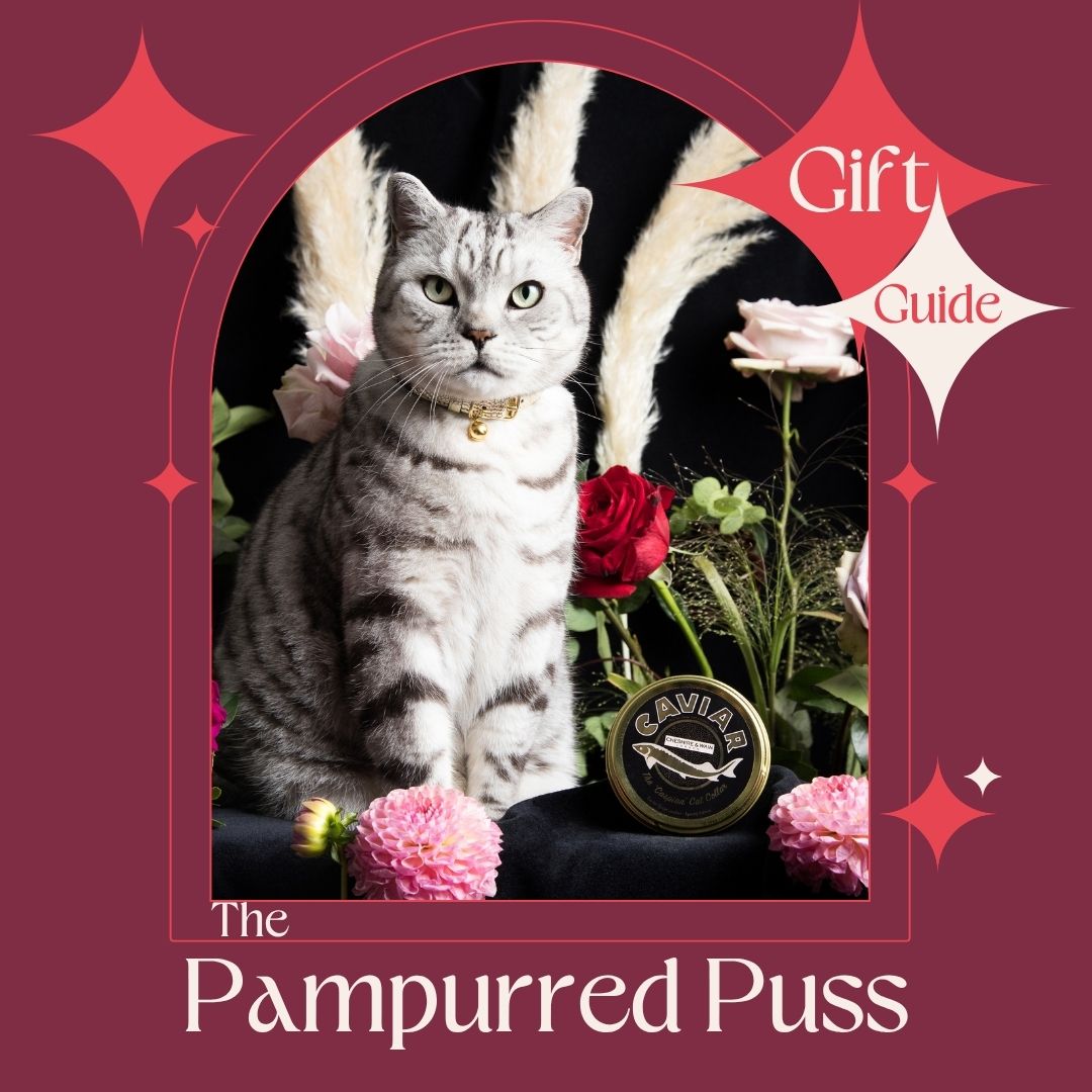 Christmas Gift Guide: The Pampurred Puss