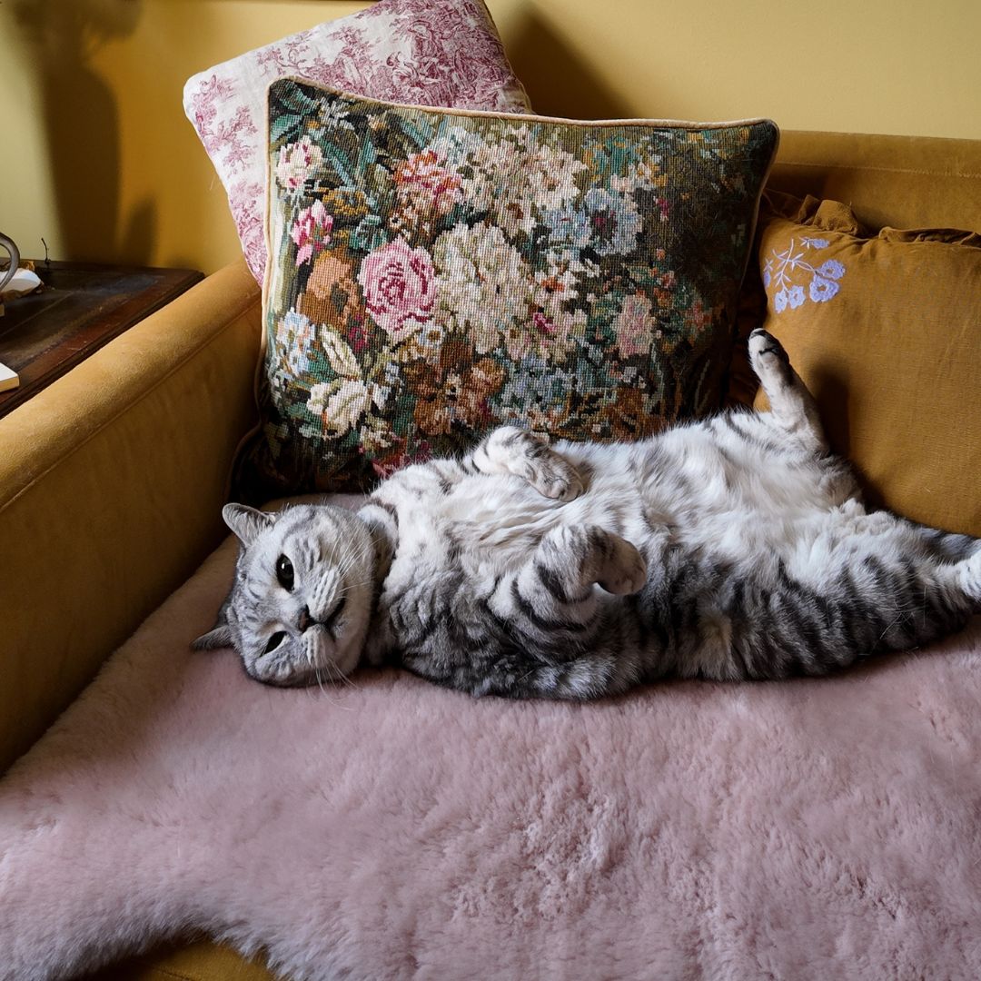 Sheepskin Rugs