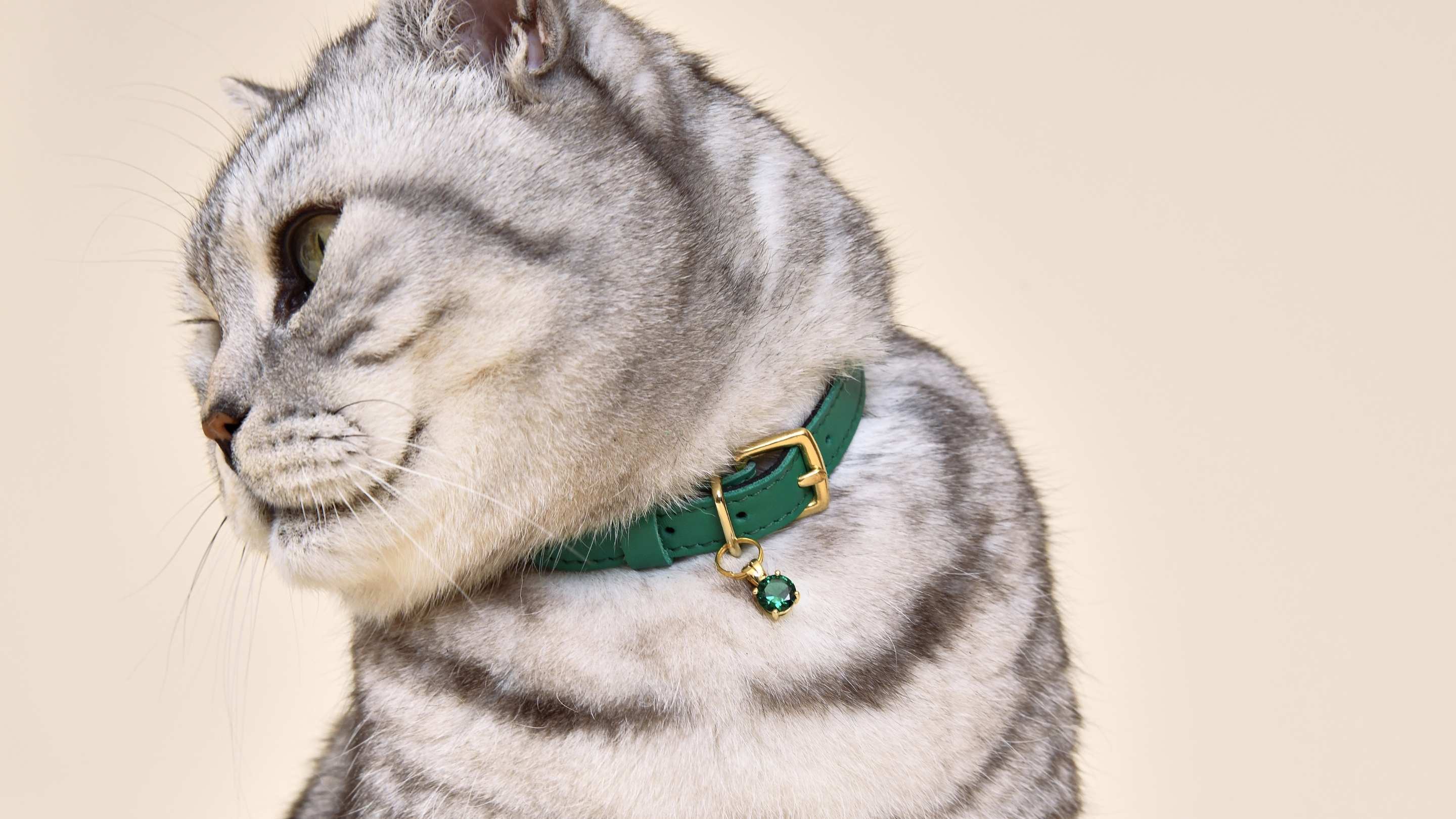 Cat sales id tags