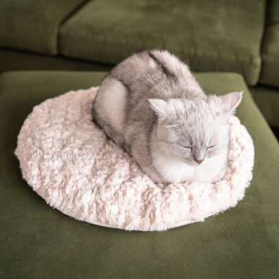 Cat Cloud® Arcus Light Pillow Bed - Shearling